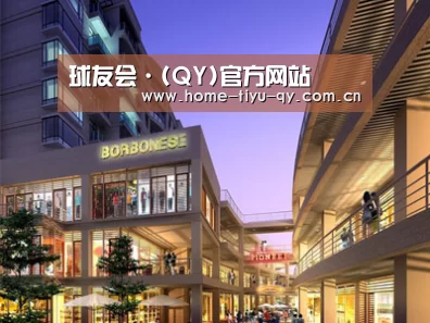 案例展示一(图1)